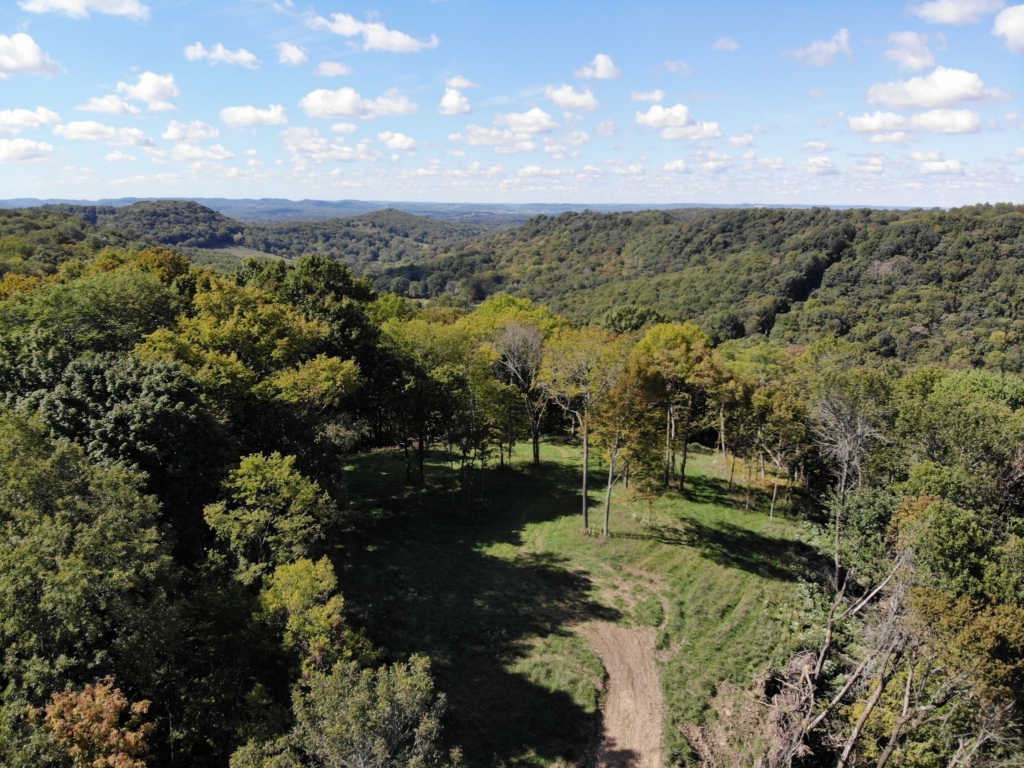 Drone photo of Franklin TN